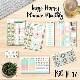 Kit 12   Large Happy Planner ANY Monthly Kit