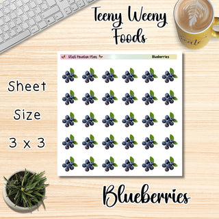 BLUEBERRIES Teeny Weeny Foods