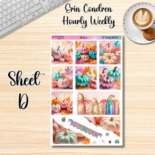 Kit 28       Hourly Erin Condren Weekly