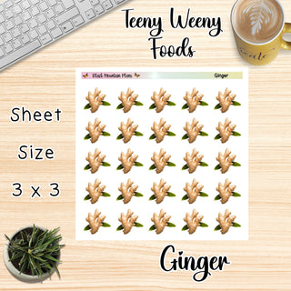 GINGER Teeny Weeny Foods